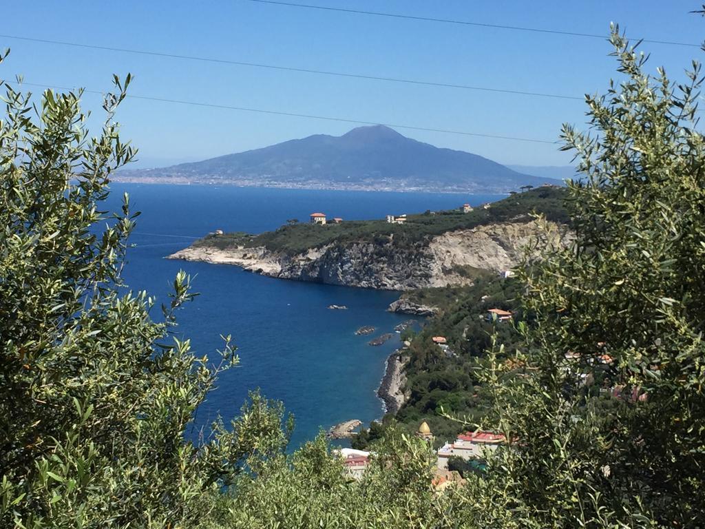 De Maria House Bed and Breakfast SantʼAgata sui Due Golfi Εξωτερικό φωτογραφία